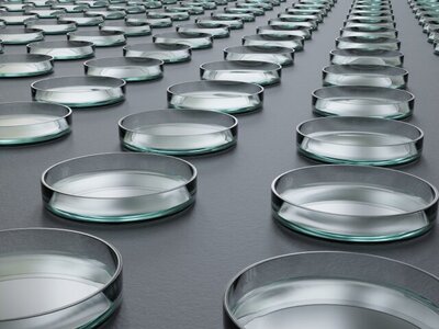 バイオ医薬品イメージ