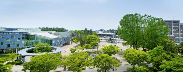 新潟大学